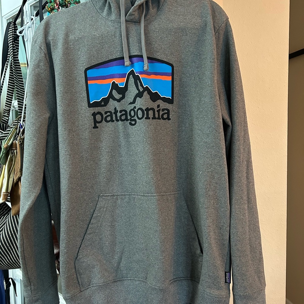 Patagonia Charcoal Hoodie with Mountain Logo